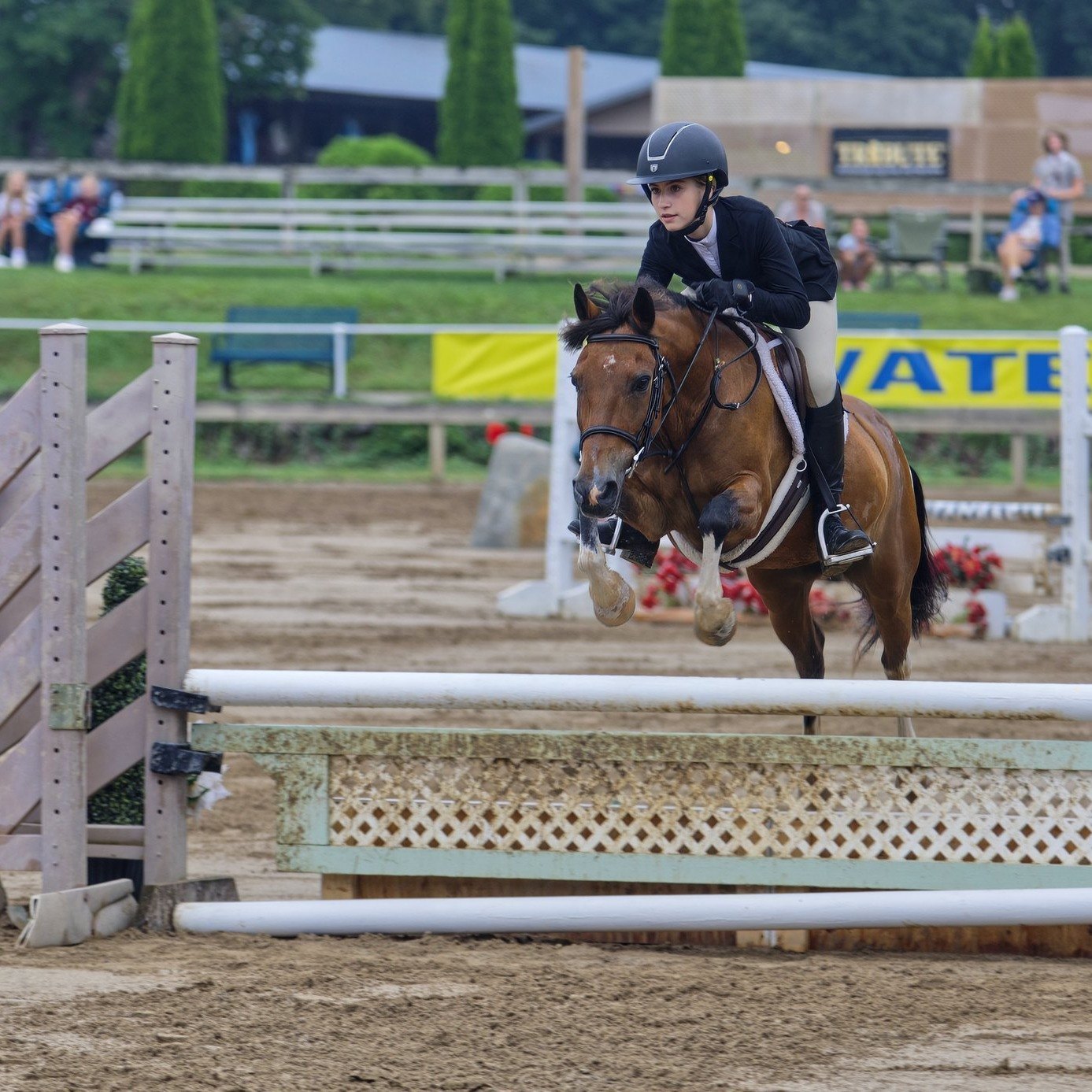 Sadie clearing a white oxer at Waterloo